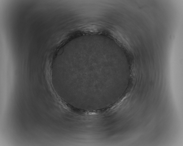 X0000114091297200910131248
