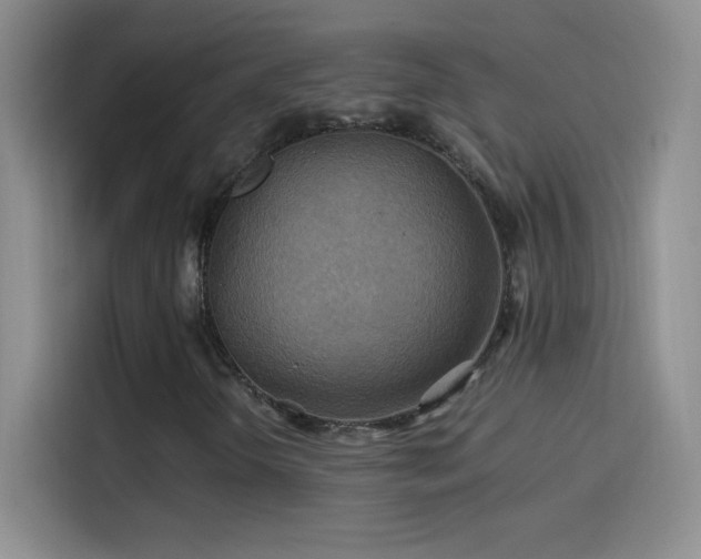 X0000114091298200910131248