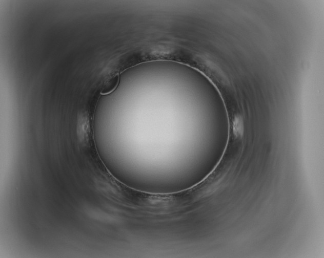 X0000114091299200910131248
