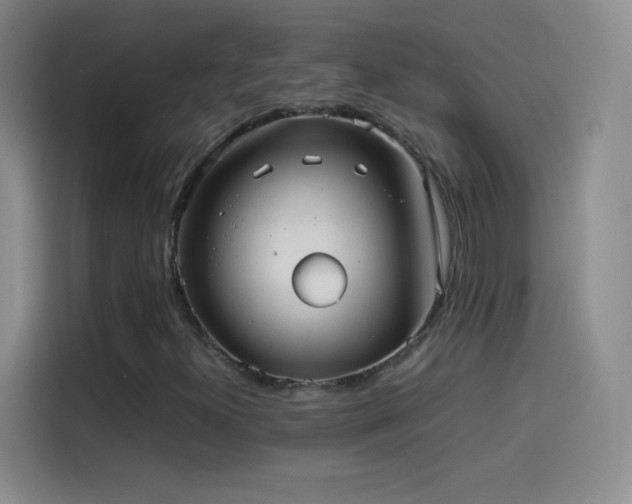 X0000114091300200910131248