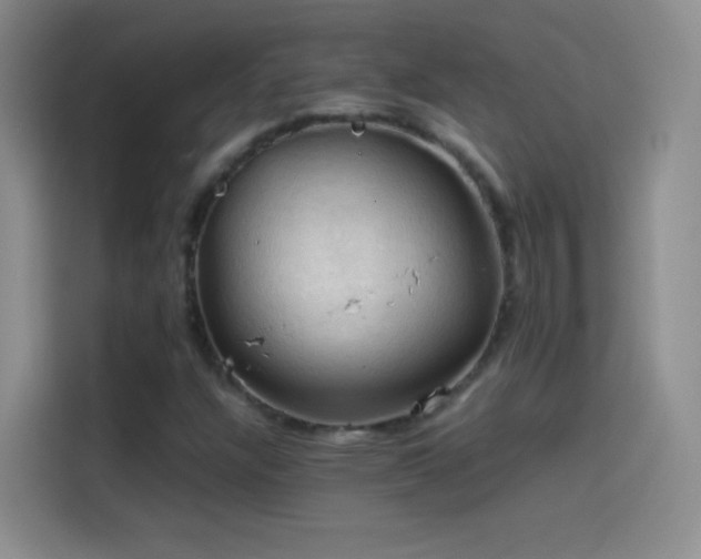 X0000114091304200910131248
