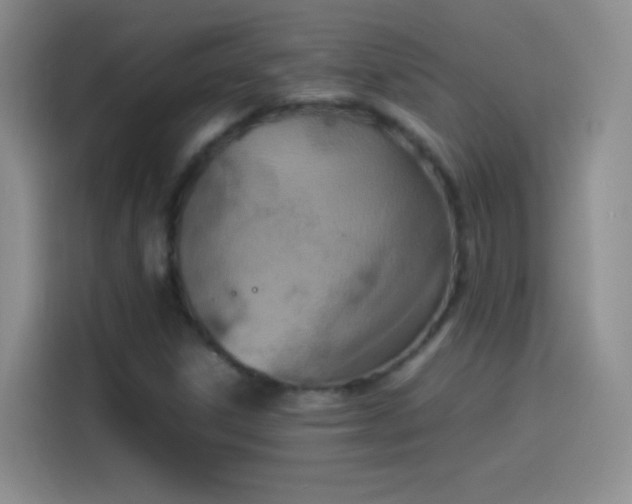 X0000114091306200910131248