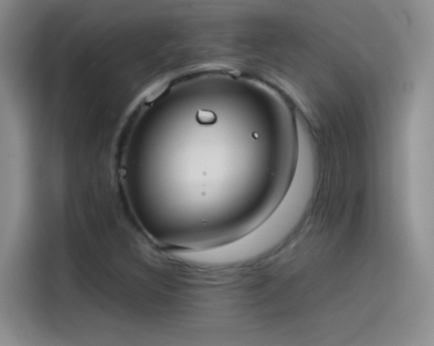 X0000114091308200910131248