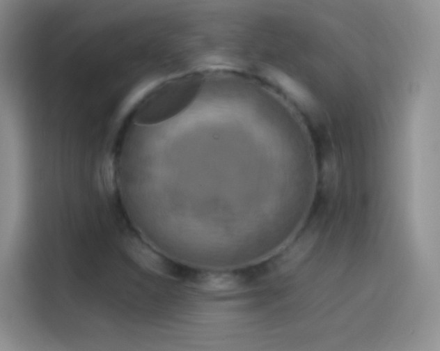 X0000114091310200910131248