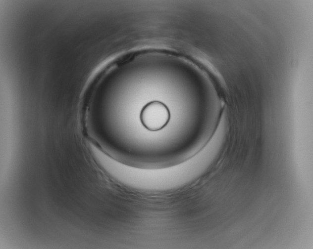 X0000114091312200910131248