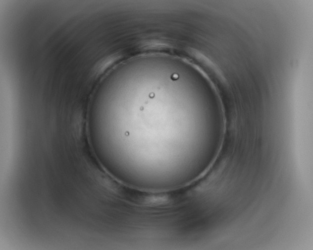 X0000114091313200910131248