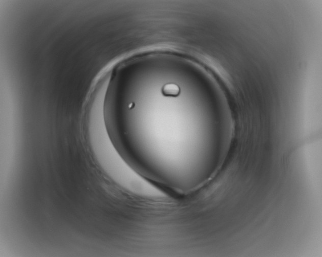 X0000114091316200910131248
