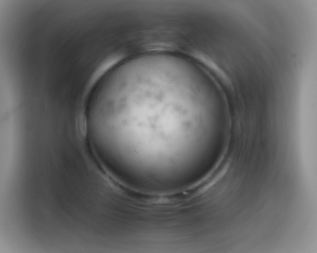 X0000114091317200910131248