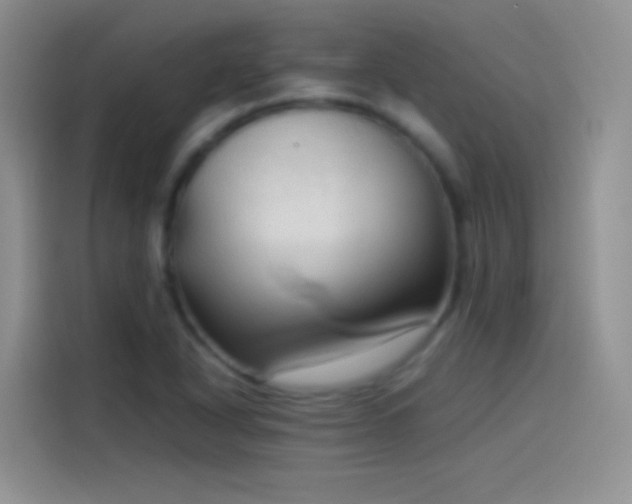 X0000114091318200910131248