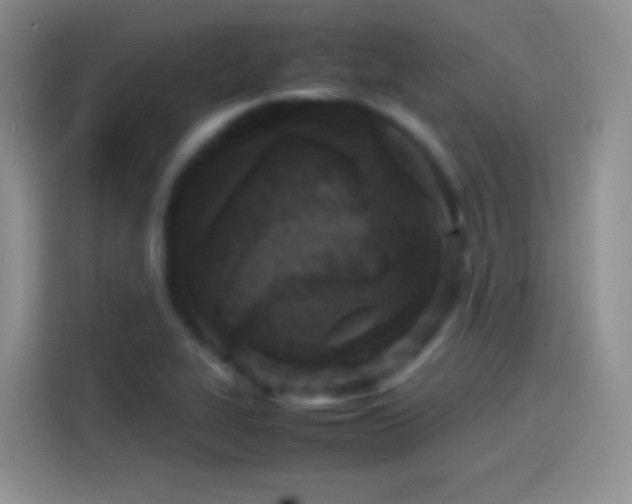 X0000114091319200910131248