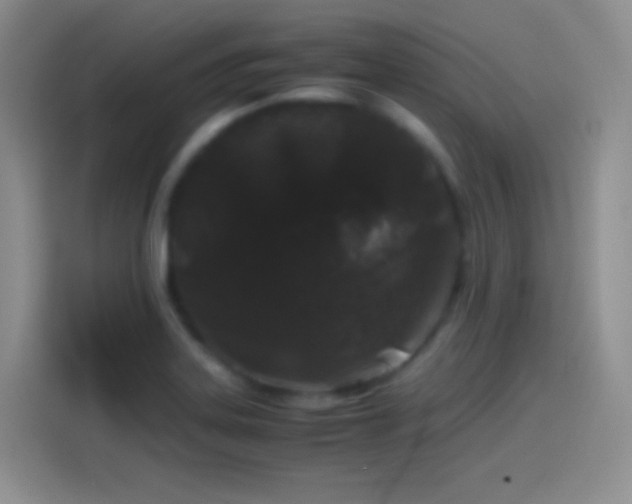 X0000114091323200910131248