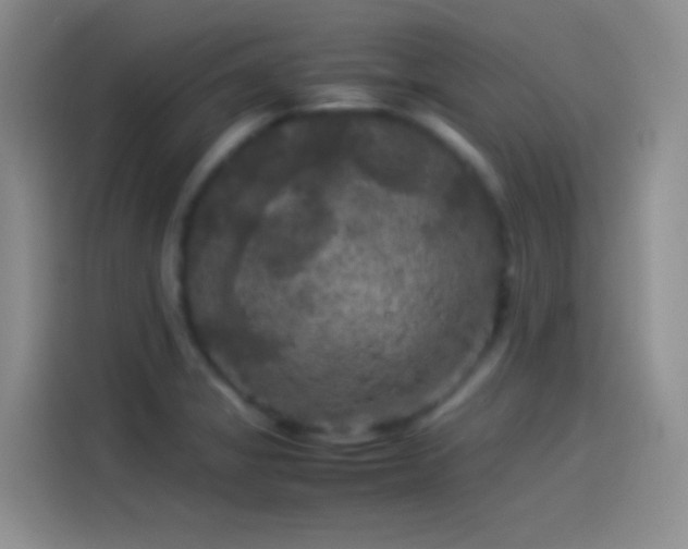 X0000114091325200910131248