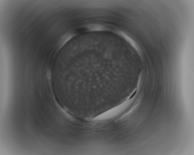 X0000114091329200910131249