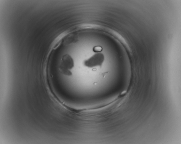 X0000114091330200910131249