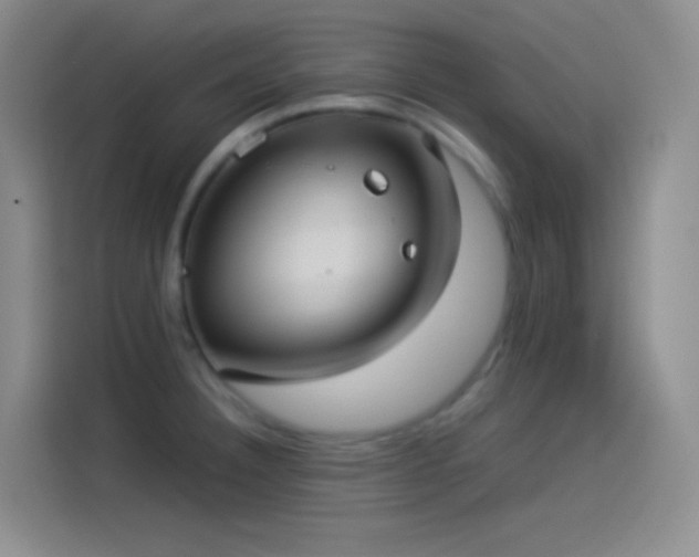 X0000114091332200910131249