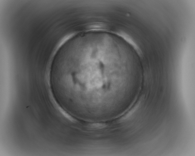 X0000114091333200910131249