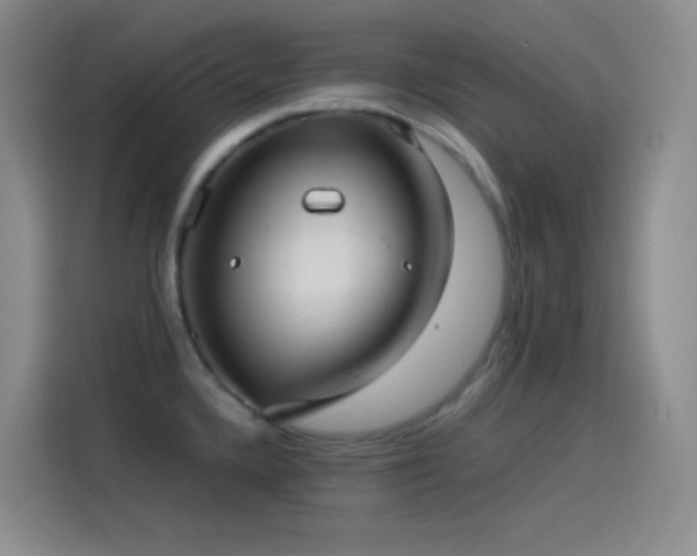 X0000114091336200910131249