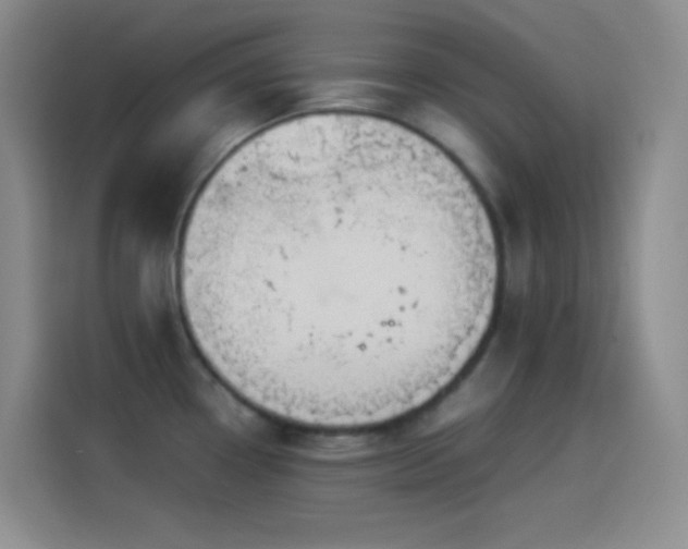 X0000114091338200910131249