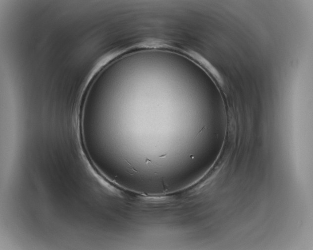 X0000114091343200910131249