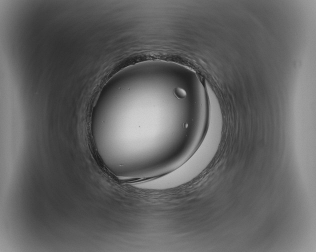 X0000114091345200910131248