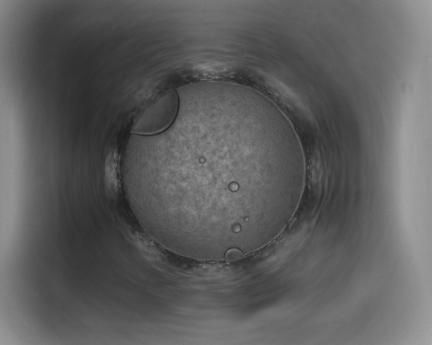 X0000114091346200910131248