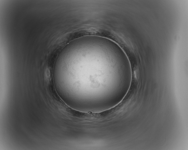 X0000114091347200910131248
