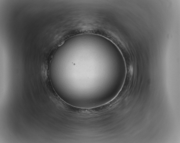 X0000114091348200910131248