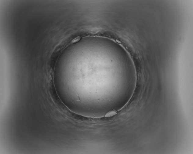 X0000114091349200910131248