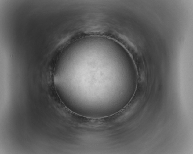 X0000114091350200910131248