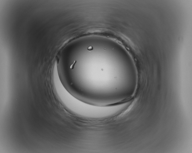 X0000114091353200910131248