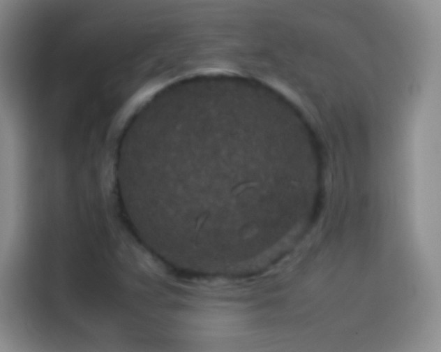 X0000114091359200910131248