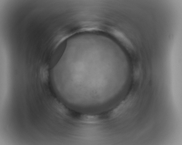X0000114091361200910131248