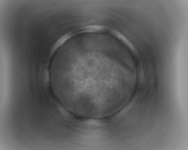 X0000114091362200910131248