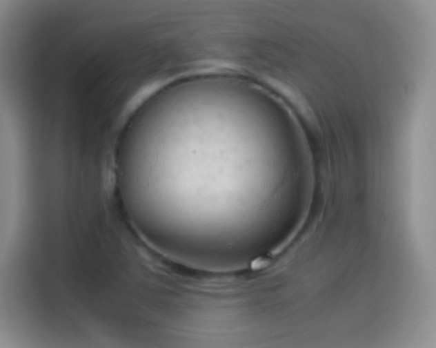 X0000114091363200910131248
