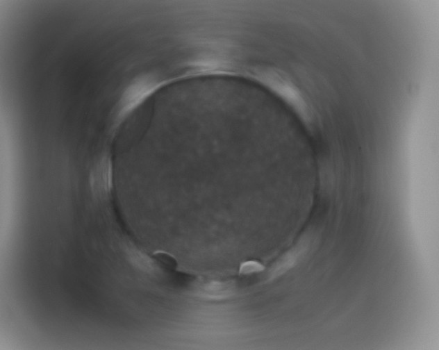 X0000114091365200910131248