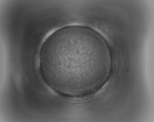 X0000114091367200910131248