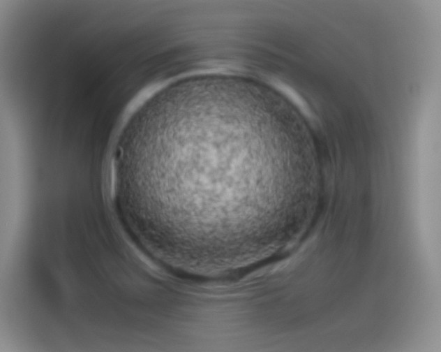 X0000114091371200910131248