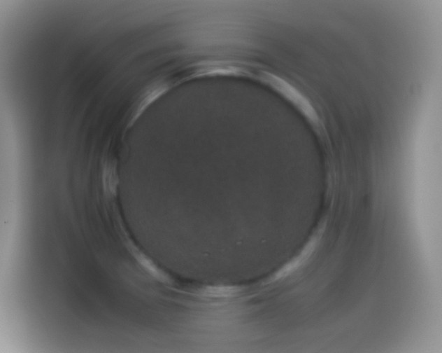 X0000114091377200910131248