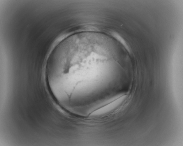 X0000114091379200910131248