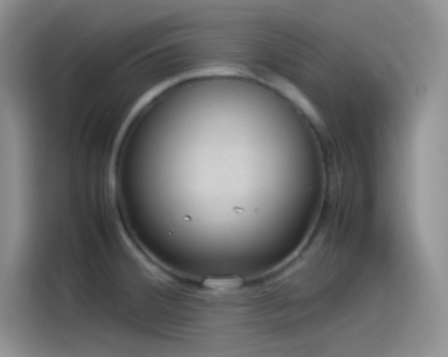 X0000114091380200910131248