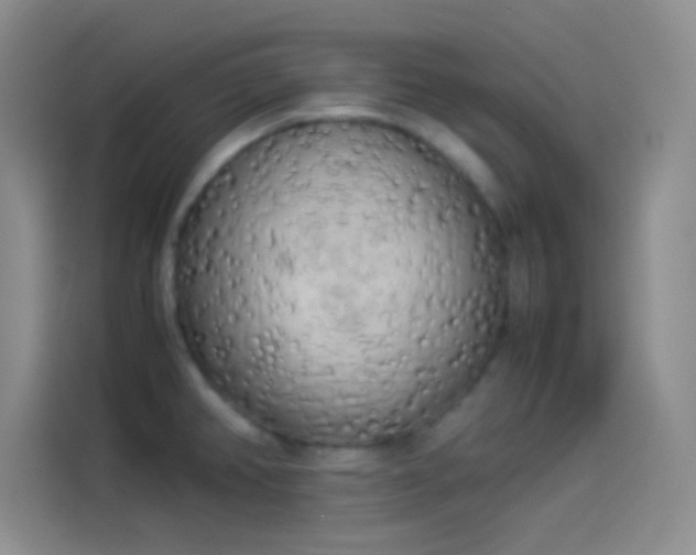 X0000114091382200910131248
