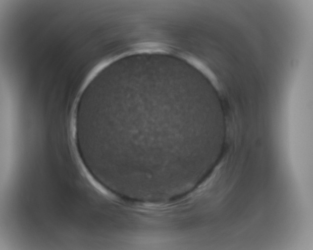 X0000114091383200910131248