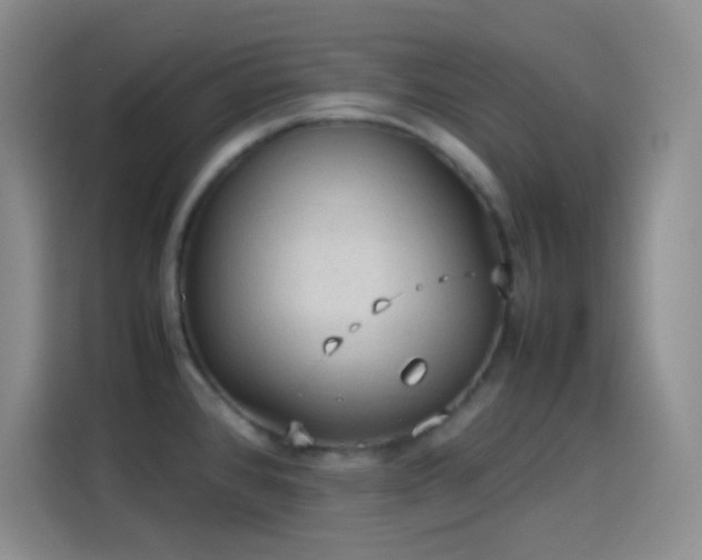 X0000114091384200910131248