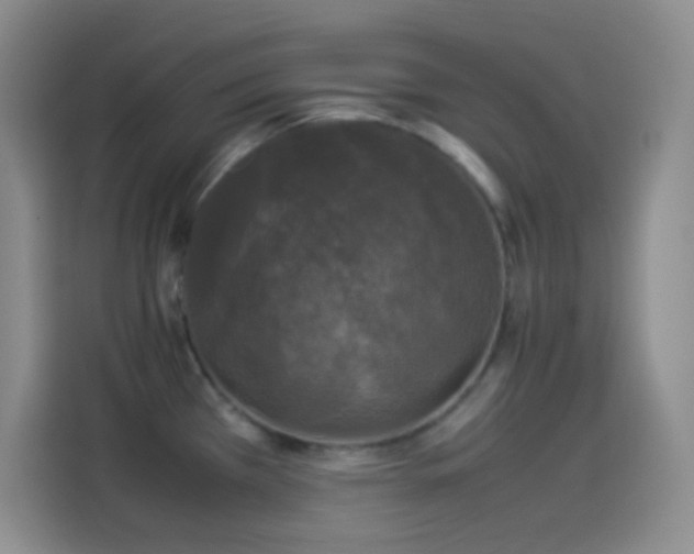 X0000114091385200910131248