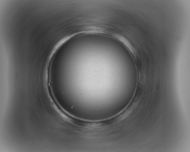 X0000114091387200910131248