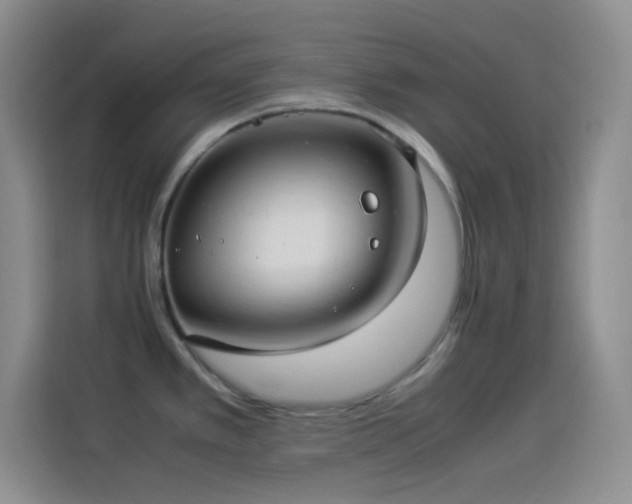 X0000114091389200910131248