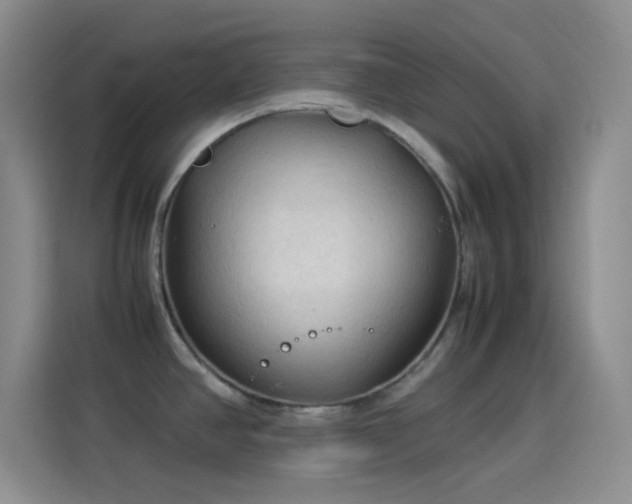X0000114091390200910131248