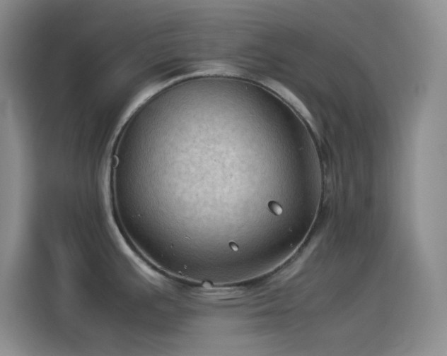 X0000114091391200910131248