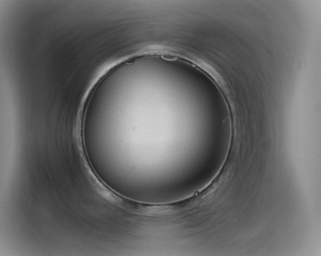 X0000114091392200910131247