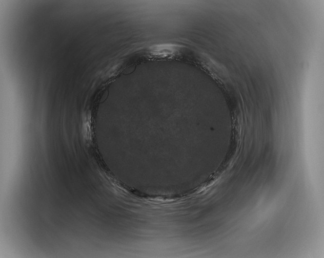 X0000114091394200910131247